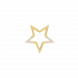 The Star Shaped Diamond Pendant