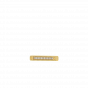 The Diamond Ray Pendant